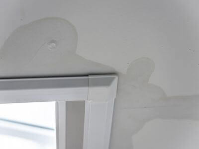 About TrueNest Pros - water damage restoration experts in Metairie