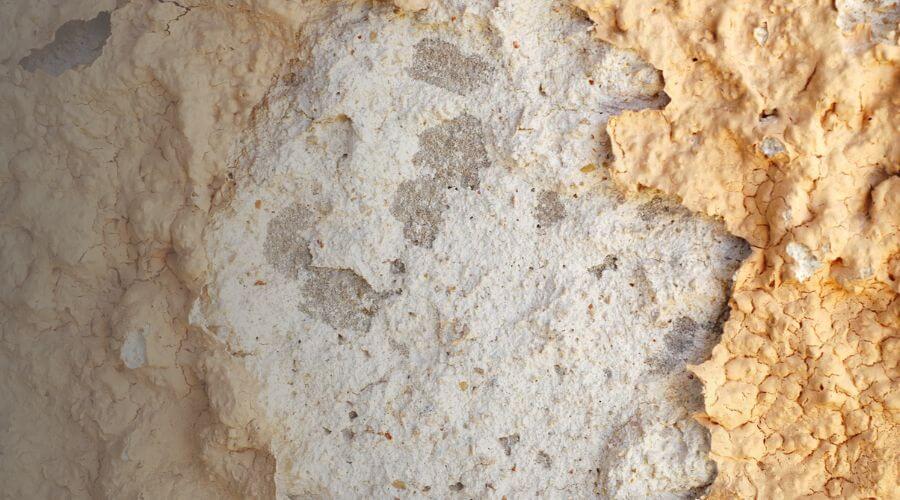 Why choose TrueNest Pros for water damage restoration in Metairie